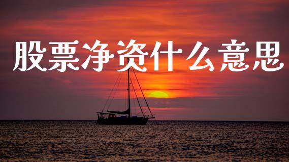 股票净资什么意思_https://m.jnlaobingbanjia.com_理财规划_第1张
