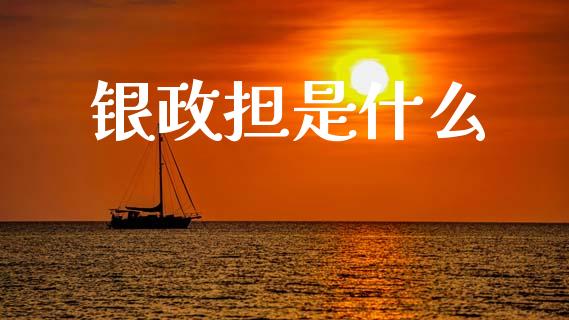 银政担是什么_https://m.jnlaobingbanjia.com_基金市场_第1张