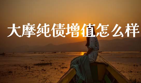 大摩纯债增值怎么样_https://m.jnlaobingbanjia.com_基金市场_第1张
