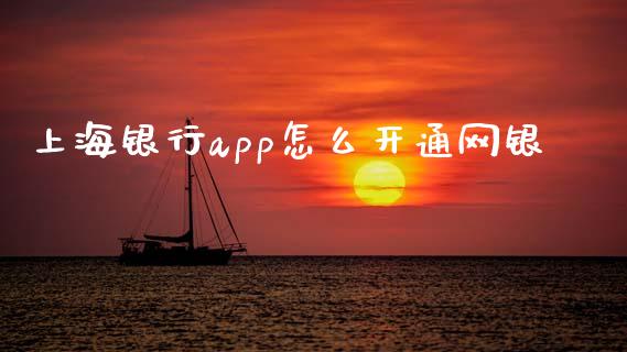 上海银行app怎么开通网银_https://m.jnlaobingbanjia.com_理财规划_第1张