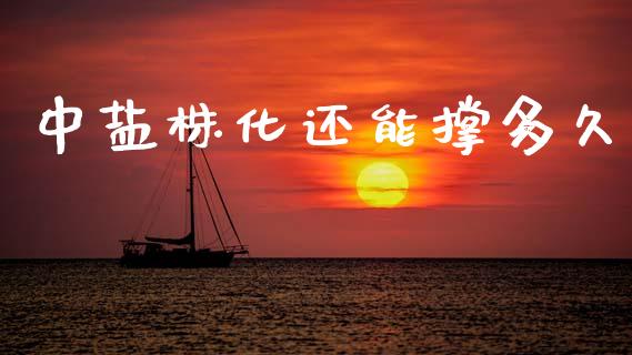 中盐株化还能撑多久_https://m.jnlaobingbanjia.com_理财规划_第1张