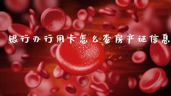 银行办行用卡怎么查房产证信息_https://m.jnlaobingbanjia.com_全球市场_第1张