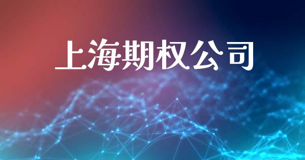 上海期权公司_https://m.jnlaobingbanjia.com_区块链_第1张