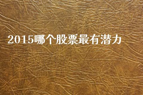 2015哪个股票最有潜力_https://m.jnlaobingbanjia.com_理财规划_第1张