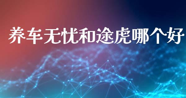 养车无忧和途虎哪个好_https://m.jnlaobingbanjia.com_金融监管_第1张