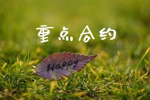 重点合约_https://m.jnlaobingbanjia.com_区块链_第1张