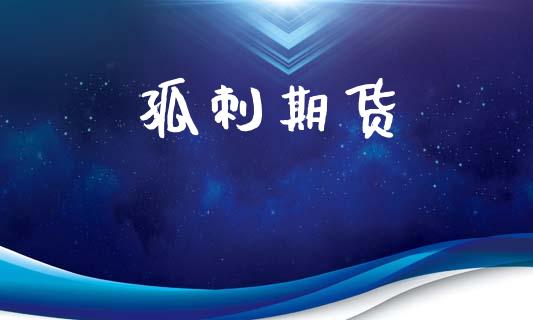孤刺期货_https://m.jnlaobingbanjia.com_区块链_第1张