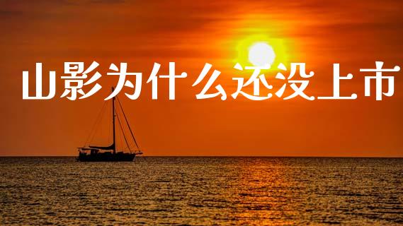 山影为什么还没上市_https://m.jnlaobingbanjia.com_理财规划_第1张