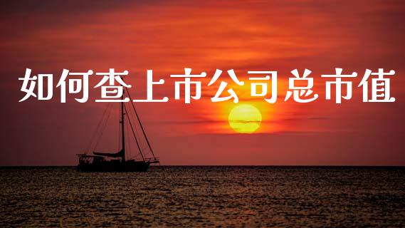 如何查上市公司总市值_https://m.jnlaobingbanjia.com_基金市场_第1张
