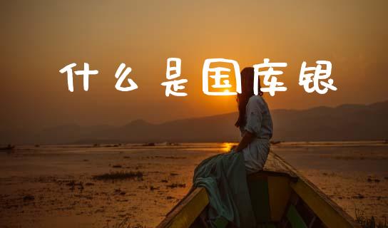 什么是国库银_https://m.jnlaobingbanjia.com_区块链_第1张