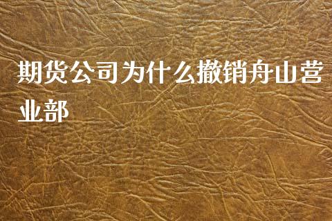 期货公司为什么撤销舟山营业部_https://m.jnlaobingbanjia.com_基金市场_第1张