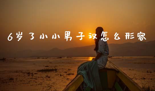 6岁了小小男子汉怎么形容_https://m.jnlaobingbanjia.com_全球市场_第1张