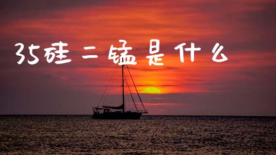 35硅二锰是什么_https://m.jnlaobingbanjia.com_金融监管_第1张
