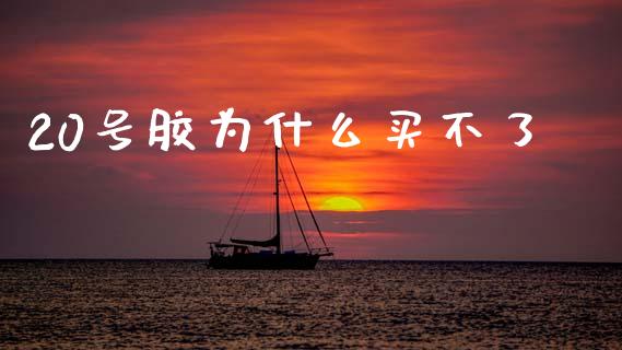 20号胶为什么买不了_https://m.jnlaobingbanjia.com_股市新闻_第1张