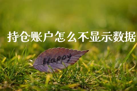 持仓账户怎么不显示数据_https://m.jnlaobingbanjia.com_基金市场_第1张