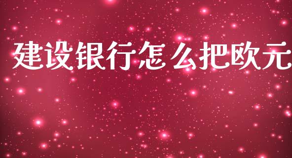建设银行怎么把欧元_https://m.jnlaobingbanjia.com_理财规划_第1张