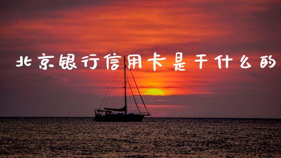 北京银行信用卡是干什么的_https://m.jnlaobingbanjia.com_区块链_第1张