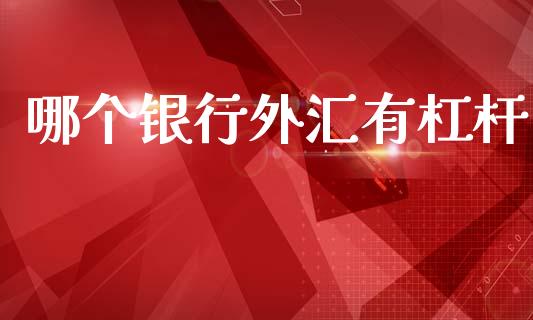 哪个银行外汇有杠杆_https://m.jnlaobingbanjia.com_股市新闻_第1张