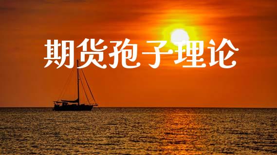 期货孢子理论_https://m.jnlaobingbanjia.com_基金市场_第1张