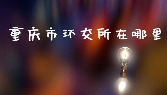 重庆市环交所在哪里_https://m.jnlaobingbanjia.com_股市新闻_第1张