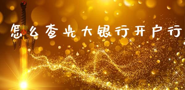 怎么查光大银行开户行_https://m.jnlaobingbanjia.com_全球市场_第1张