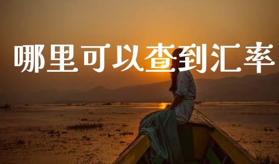 哪里可以查到汇率_https://m.jnlaobingbanjia.com_区块链_第1张