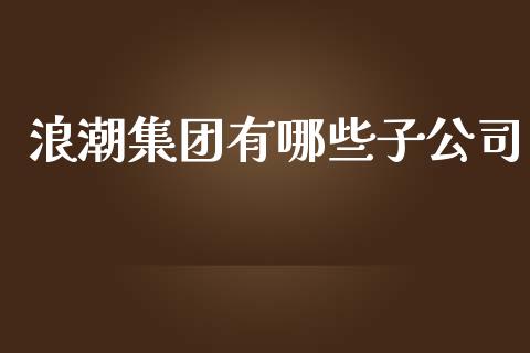 浪潮集团有哪些子公司_https://m.jnlaobingbanjia.com_全球市场_第1张