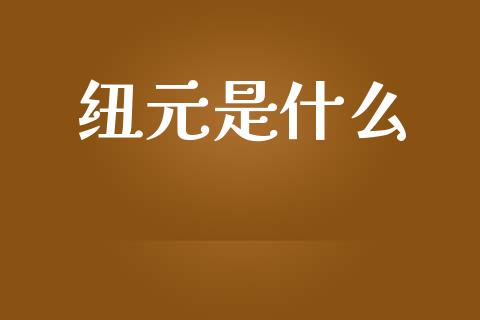 纽元是什么_https://m.jnlaobingbanjia.com_基金市场_第1张