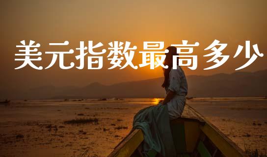 美元指数最高多少_https://m.jnlaobingbanjia.com_理财规划_第1张