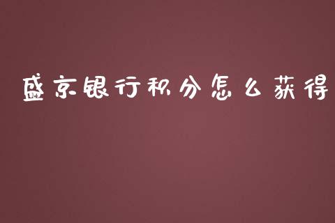 盛京银行积分怎么获得_https://m.jnlaobingbanjia.com_全球市场_第1张
