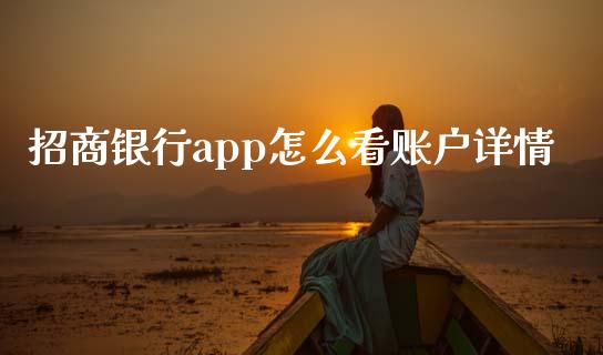 招商银行app怎么看账户详情_https://m.jnlaobingbanjia.com_全球市场_第1张