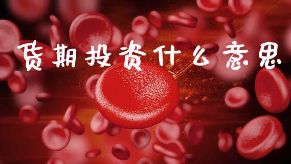 货期投资什么意思_https://m.jnlaobingbanjia.com_金融监管_第1张