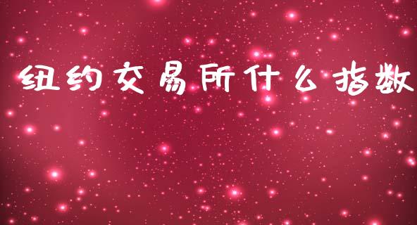 纽约交易所什么指数_https://m.jnlaobingbanjia.com_全球市场_第1张