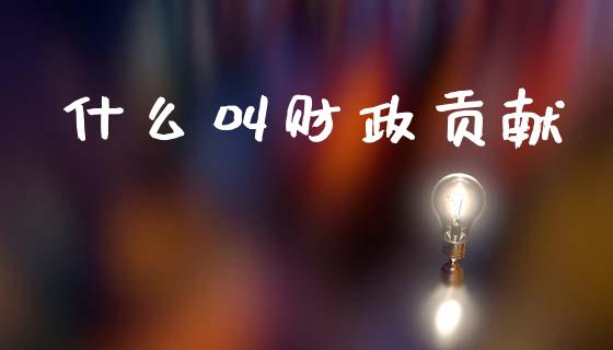 什么叫财政贡献_https://m.jnlaobingbanjia.com_股市新闻_第1张