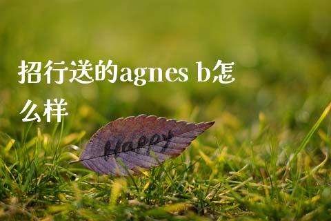 招行送的agnes b怎么样_https://m.jnlaobingbanjia.com_区块链_第1张