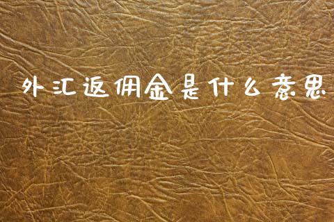 外汇返佣金是什么意思_https://m.jnlaobingbanjia.com_股市新闻_第1张