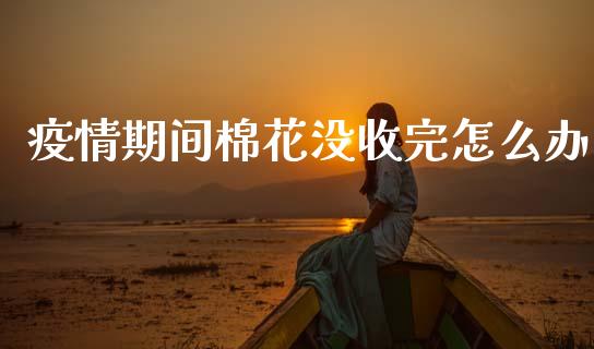 疫情期间棉花没收完怎么办_https://m.jnlaobingbanjia.com_股市新闻_第1张