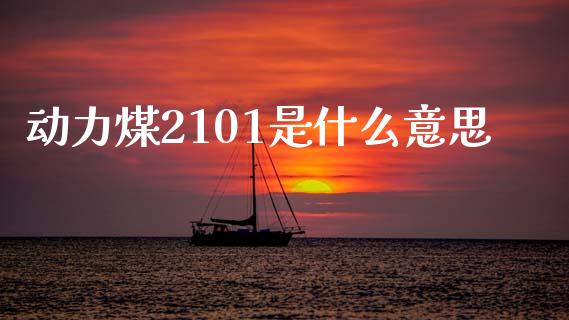 动力煤2101是什么意思_https://m.jnlaobingbanjia.com_基金市场_第1张
