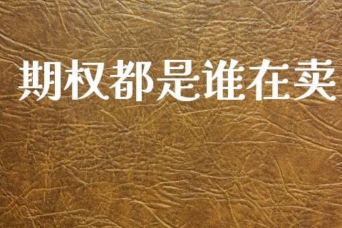 期权都是谁在卖_https://m.jnlaobingbanjia.com_全球市场_第1张