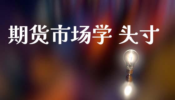 期货市场学 头寸_https://m.jnlaobingbanjia.com_全球市场_第1张