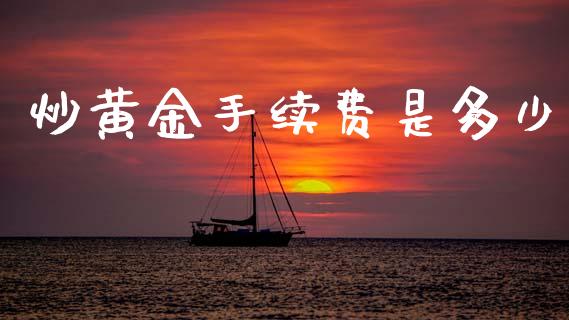 炒黄金手续费是多少_https://m.jnlaobingbanjia.com_金融监管_第1张