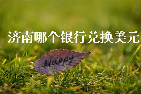 济南哪个银行兑换美元_https://m.jnlaobingbanjia.com_股市新闻_第1张