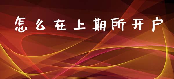 怎么在上期所开户_https://m.jnlaobingbanjia.com_理财规划_第1张