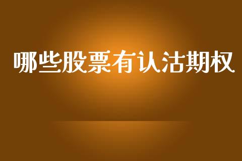 哪些股票有认沽期权_https://m.jnlaobingbanjia.com_股市新闻_第1张