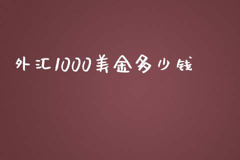 外汇1000美金多少钱_https://m.jnlaobingbanjia.com_金融监管_第1张