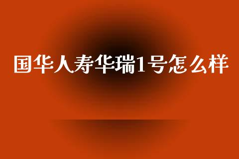 国华人寿华瑞1号怎么样_https://m.jnlaobingbanjia.com_理财规划_第1张