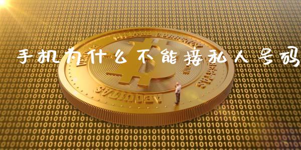 手机为什么不能接私人号码_https://m.jnlaobingbanjia.com_区块链_第1张