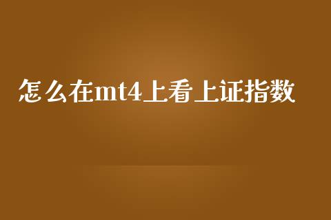 怎么在mt4上看上证指数_https://m.jnlaobingbanjia.com_基金市场_第1张
