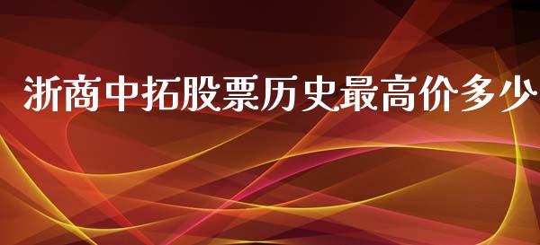 浙商中拓股票历史最高价多少_https://m.jnlaobingbanjia.com_基金市场_第1张