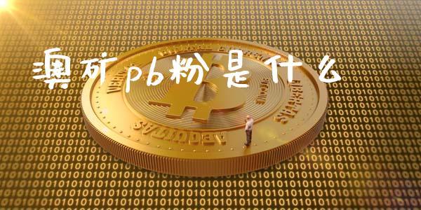 澳矿pb粉是什么_https://m.jnlaobingbanjia.com_区块链_第1张